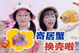 两姐妹宠物大PK，帮寄居蟹改造外壳，奶油VS干花，到底谁的美？