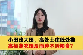 小田改大田，高处土往低处推，高标准农田反而种不活粮食？视频封面