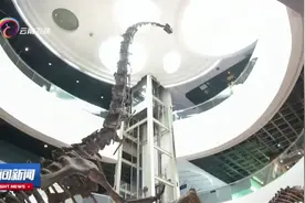 近距离感受发生在云南的生命奇迹 走进中国科学院昆明动物研究所视频封面