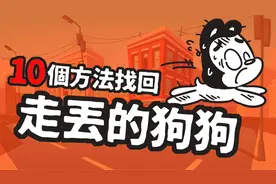 10个办法帮你快速找回狗狗，暖心知识！视频封面