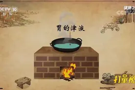 脾胃究竟出现了什么问题，会导致睡觉流口水呢？|健康之路视频封面