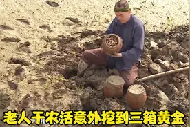 老人干农活意外挖到三箱黄金视频封面