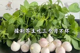 揉荆芥的做法，不用上锅生吃两个月不坏！河南人夏季必吃的一道菜视频封面