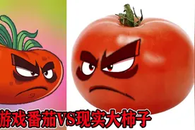 植物大战僵尸：游戏VS现实！坚果你是来搞笑的吗？视频封面