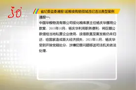 黑龙江省纪委监委通报5起粮食购销领域违纪违法典型案例视频封面