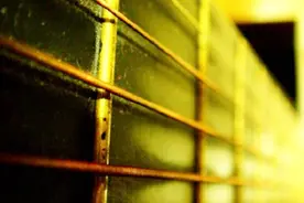 木吉她Vlog17-《梅》