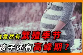 人类竟然也有繁殖季节？生孩子也容易撞上高峰期，你啥时候生的？视频封面