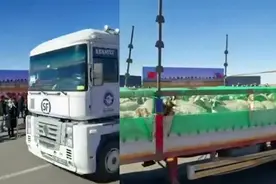 蒙古羊来啦！大货车满载“4000只羊”入境中国 直击震撼交接现场视频封面