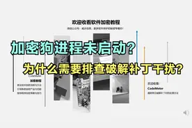 CodeMeter加密狗无法启动？也许该排除一下破解补丁的问题