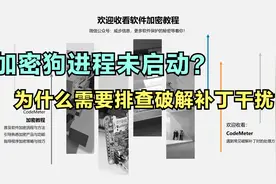 CodeMeter加密狗无法启动？也许该排除一下破解补丁的问题