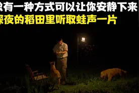 成年人的世界都不容易，我们如何消除精神内耗，让自己变得更快乐视频封面