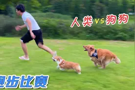 主人和狗狗比赛跑步，究竟谁更快？视频封面