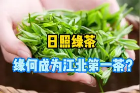 “江北第一茶”的日照绿茶咋样？日照种茶历史揭秘，听老茶客咋说视频封面