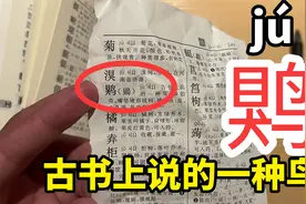 䴗（ju）：古书上说的一种鸟，嘴坚硬而锐利视频封面