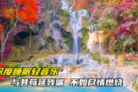 50首大自然深度睡眠轻音乐：以其苟延残喘，不如尽情燃烧。