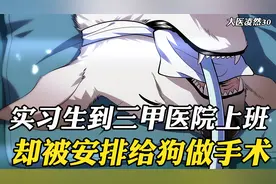 实习生到三甲医院上班，却被安排给狗做手术，原来这是一条缉毒犬视频封面