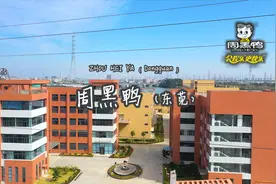 周黑鸭（东莞麻涌）- 中国第二大休闲卤制品公司，2018年盈利5亿视频封面