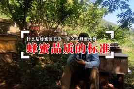 什么是蜂蜜波美度和浓度，蜂蜜等级标准是什么？听养蜂小伙怎么说视频封面