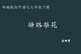 【初中语文】驿路梨花 教学实录 七下（含教案课件）视频封面