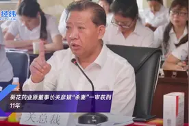 葵花药业原董事长关彦斌“杀妻”一审获刑11年视频封面