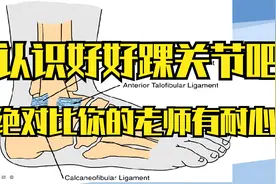足踝关节解剖第二课（外侧副韧带），简单明了，我不信你学不会视频封面