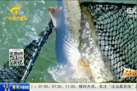 鱼生美味潜藏危险，淡水鱼虾不能生吃！