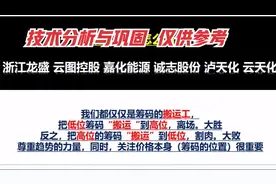 点评：浙江龙盛 云图控股 嘉化能源 诚志股份 泸天化 云天化