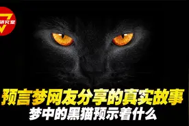 预言梦 网友分享的真实故事 梦中的黑猫预示着什么视频封面