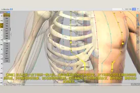 胃经穴位乳中穴_足阳明胃经_经络腧穴视频封面