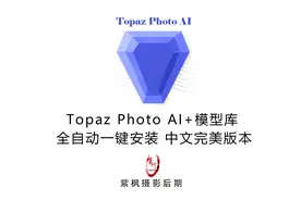 彻底解决问题！TopazPhotoAI+模型库 全自动一键安装中文完美版本