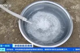 简直离谱！饮水安全难保障，记者曝光陕西洛南扶贫造假被抢手机视频封面
