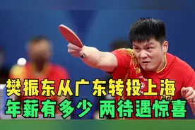 从广东转投上海，樊振东年薪有多少？两待遇惊喜，陈梦经历给答案视频封面