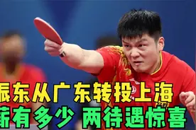 从广东转投上海，樊振东年薪有多少？两待遇惊喜，陈梦经历给答案