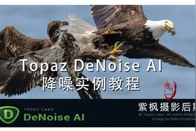 AI 降噪天花板！超快速 去噪点不损失细节 TopazDeNoise实例教程视频封面