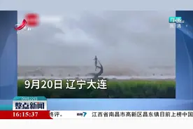 私家车路过海边 遇大浪直拍车窗视频封面