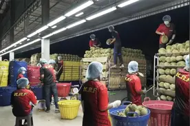 泰国用中老铁路运水果，满载27个集装箱，向中国出口500吨榴莲视频封面