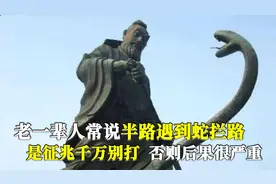 农村老人常说：半路遇到蛇拦路千万别打，后果很严重！是真的吗？视频封面