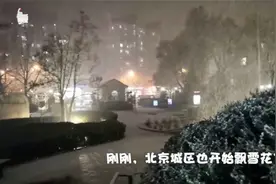 视频云赏雪！北京城区正在变身银色世界视频封面
