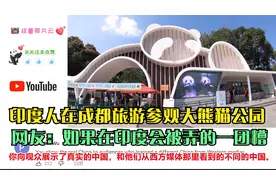 印度人在成都旅游参观大熊猫公园 网友 如果在印度会被弄的一团糟视频封面