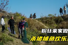 粉丝到我家来做客，杀猪、捕鱼、摘野果子，农村生活体验欢乐多视频封面
