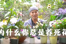 为什么你总是养死花，做好这3点，大大降低花儿死亡率视频封面