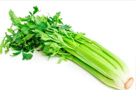 芹菜和黄瓜有利于轻度脂肪肝？原来好处这么多