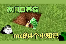 我的世界：游戏里隐藏的几个小知识，腐肉原来还有这个作用视频封面
