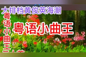 怀旧经典粤曲小曲王二十首，由黄俊英、李宝莹等歌星演唱。
