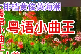 怀旧经典粤曲小曲王二十首，由黄俊英、李宝莹等歌星演唱。
