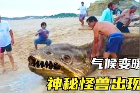 6件在巴西发现的奇怪事情，气候变暖导致巴西怪兽死亡被冲上岸？视频封面