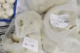 不识字奶奶为孙子包饺子，妈妈打开看小纸片被暖到，画风逗乐网友视频封面