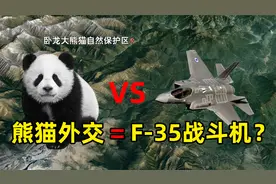 被各国争相租借，仅17国成功！“熊猫外交”堪比美国F-35战斗机？视频封面