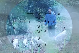 狙击手观察放羊老头，谁知他是个枪手，羊居然是借来的视频封面