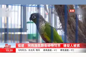 不是什么都能养！把国家二级保护动物当宠物，嫌疑人被抓！视频封面